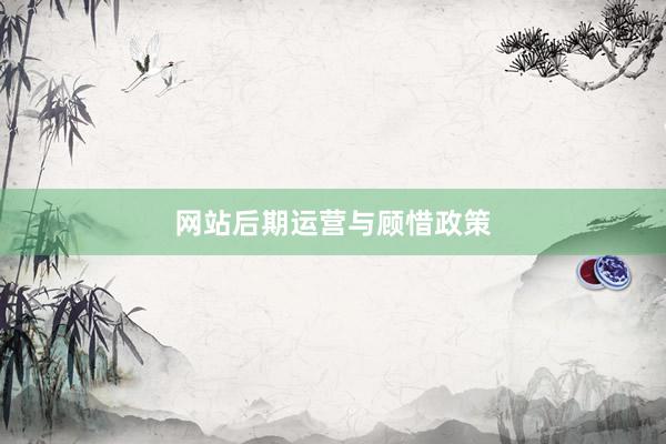 网站后期运营与顾惜政策