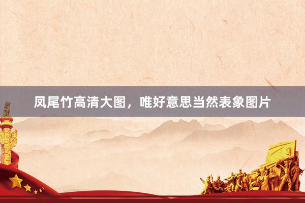 凤尾竹高清大图，唯好意思当然表象图片